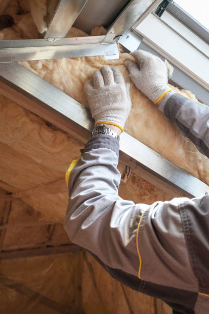 Best Insulation Installation Services in Barnhart, MO